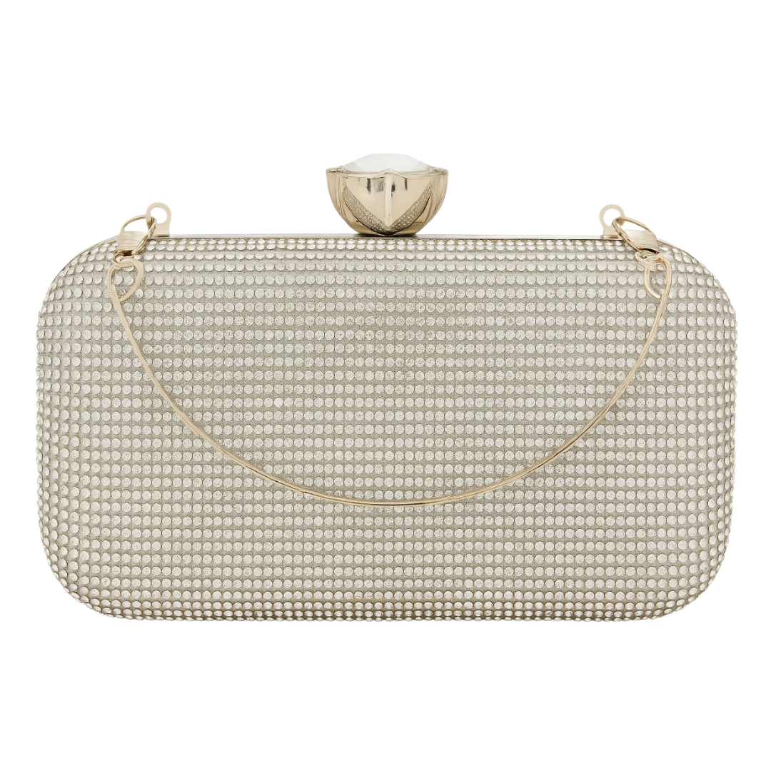 Fancy Party Wear Clutch FPW-011-SLR